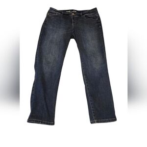 Inc Curvy Fit Skinny Leg Blue Jeans Size 14